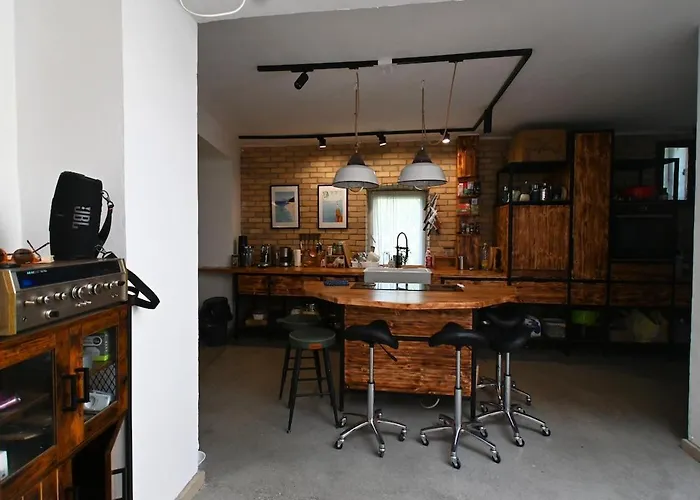 度假居 Ravehousedunapartdunakanyar